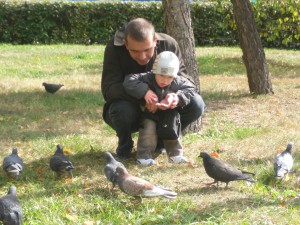 дети кормят птиц